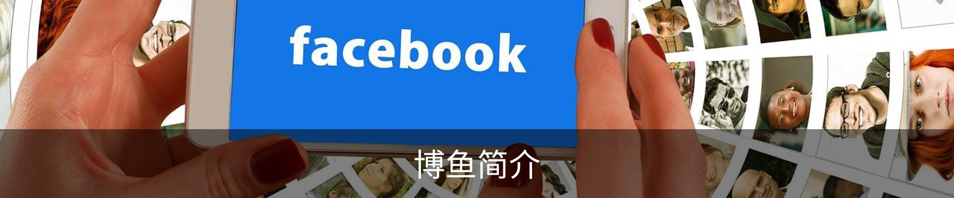 博鱼简介